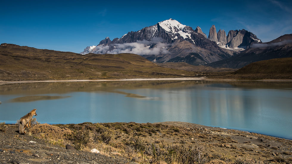 Descubre dónde está ubicada la maravillosa Patagonia: un paraíso natural en el fin del mundo